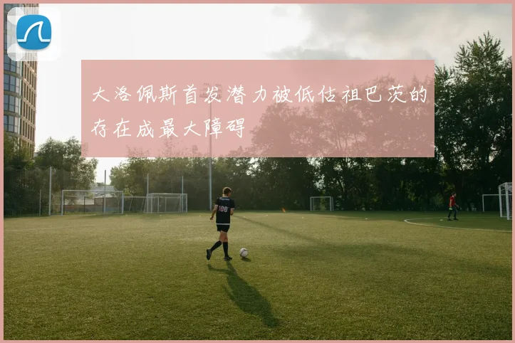 大洛佩斯首发潜力被低估祖巴茨的存在成最大障碍