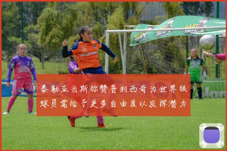 泰勒亚当斯称赞普利西奇为世界级球员需给予更多自由度以发挥潜力