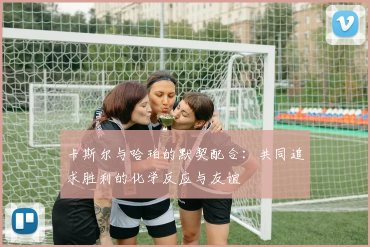 卡斯尔与哈珀的默契配合：共同追求胜利的化学反应与友谊