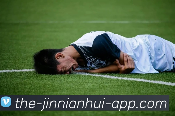 今年会官网服务体系